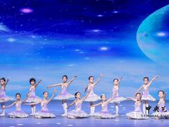 -中央芭蕾舞团·中芭艺蕾(酒仙桥明星校区)