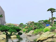 -罗红摄影艺术馆