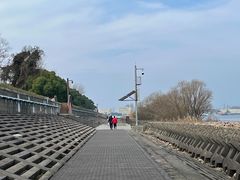 -上海滨江森林公园