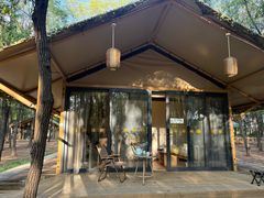 -东海森林温泉度假酒店
