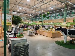 -丽家宝贝总部基地(金业大街店)