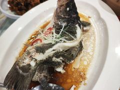 -天和晟新京菜.水煮鱼.湘土菜(国展店)