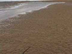 -刘家湾赶海园