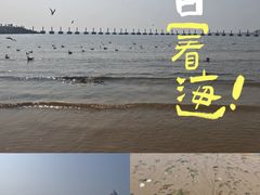 -青岛第二海水浴场