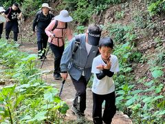-素山寺森林公园