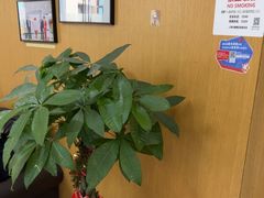 -雅悦齿科(顾村公园店)