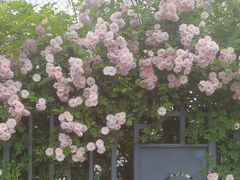 -杭州观成实验学校