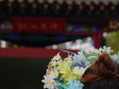 -趵突泉景区