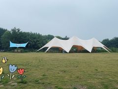 -梁鸿国家湿地公园