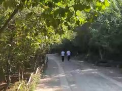 -佛慧山