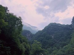 -陕西省红河谷森林公园