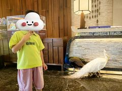 -西双版纳融创皇冠假日度假酒店