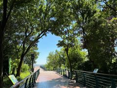 -吴淞炮台湾湿地森林公园烧烤区