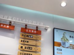 -野人先生现做冰淇淋(西安赛格店)