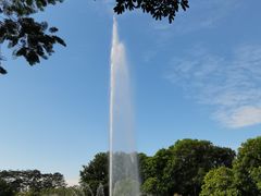 -东莞植物园