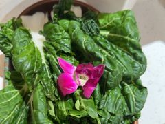 -千牛将·鲜牛肉火锅(开元路店)