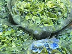 -循礼门鲜花花市(武汉循礼门店)