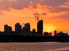 -西山漾湿地公园