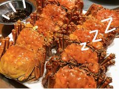 -0574龙虾的故事(东裕店)