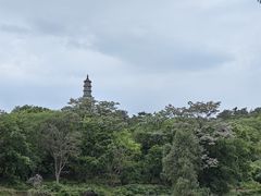 -巢湖姥山岛