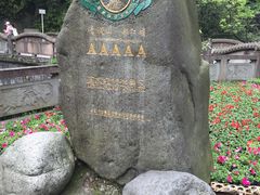 -青城山