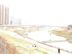 -洋湖国家湿地公园