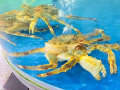 -四川小胡子海鲜(丁村万人海鲜广场店)