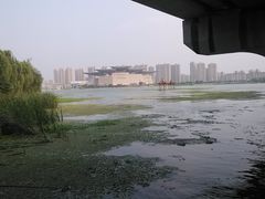 -蠡湖大桥公园