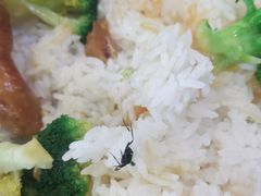 -裕记烧腊连锁餐饮(国商分店)