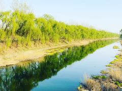 -东郊湿地公园