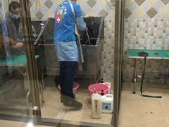 -骐奇宠物诊疗中心(南亭公路店)