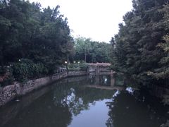 -晓港公园