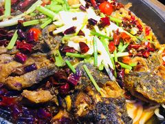 -老板恋上鱼(恒隆广场店)