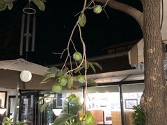-素心小筑(后沙裕镇店)