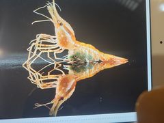 -和创柚子·会席日本料理(新区淮海街店)