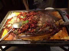 重庆豆花烤鱼-探鱼·鲜青椒爽麻烤鱼(广州花都来又来店)