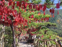 -罗田天堂寨风景区