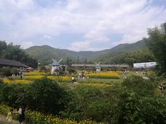 -宁波浙东大竹海景区