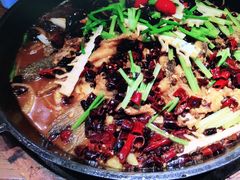 -老板恋上鱼(高新万达店)