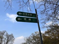 -紫金山山顶公园
