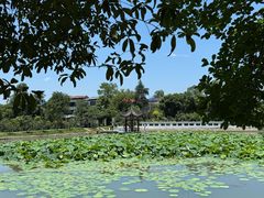 -青龙山国家森林公园