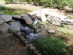 -白水寺森林公园