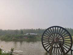 -合肥滨湖国家森林公园