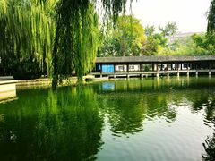 -团结湖公园