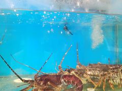 -东海渔村海鲜码头大排档