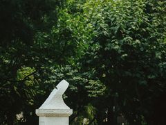-中央民族大学