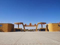 -金塔沙漠胡杨林景区