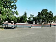 -日照海滨国家森林公园