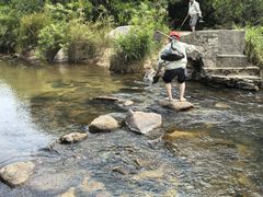 -海南热带雨林国家公园吊罗山景区