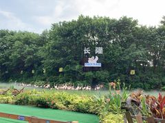 -广州长隆飞鸟乐园